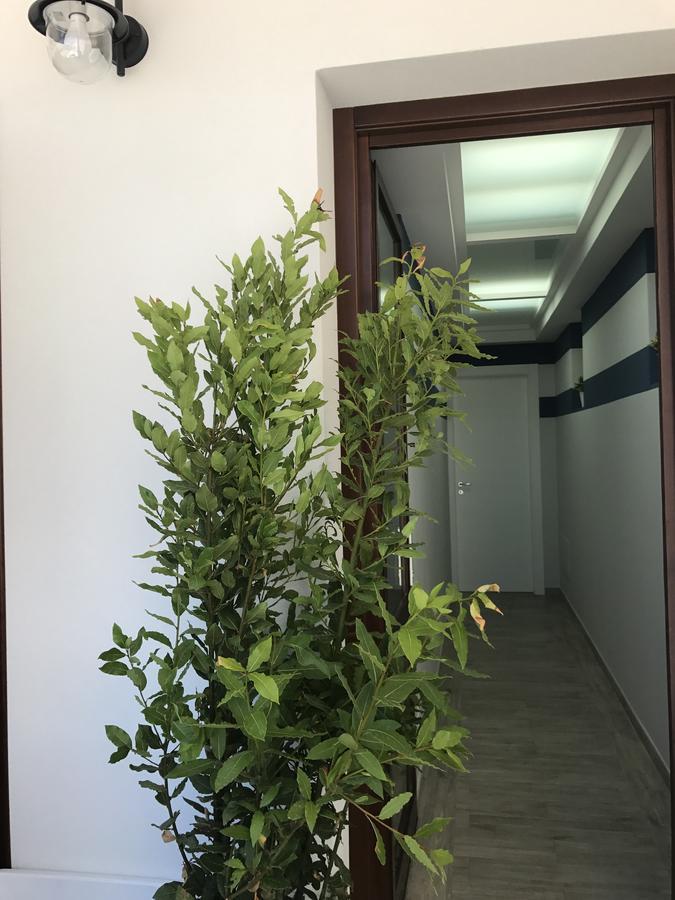 Elisir Suite Rooms By Marino Tourist San Vito Lo Capo Exterior foto